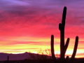 A sunset