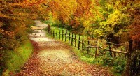 Autumn-200x109 Autumn-200x109