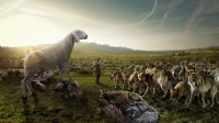 Behold I send you out like Sheep among Wolves Behold I send you out like Sheep among Wolves