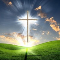 cross cross