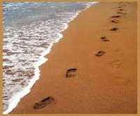 Foot-Prints1.jpg Foot-Prints1.jpg