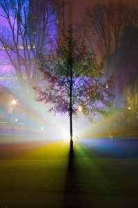 Gods-Tree.jpg Gods-Tree.jpg