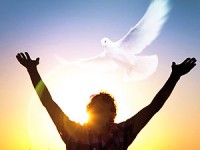 Holy Spirit Holy Spirit