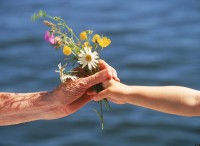 Grandchild offering small bouquet of summer wild flowers to grandmother Grandchild offering small bouquet of summer wild flowers to grandmother