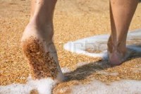 LOrd-direct-my-steps.jpg LOrd-direct-my-steps.jpg