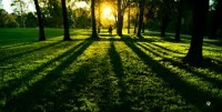 Light Light