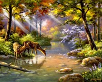 Nature Nature