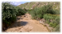 Peru 1 Peru 1
