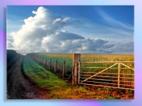 The Gate Way The Gate Way