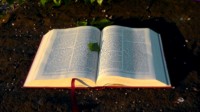 bible bible
