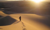 desert desert