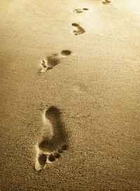 footprints-in-the-sand footprints-in-the-sand