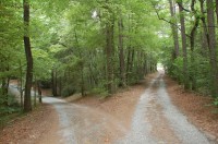 fork in the road fork in the road