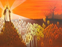 lord-of-the-harvest lord-of-the-harvest