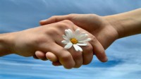 reaching-out2.jpg reaching-out2.jpg