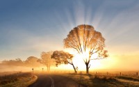 sunrise-morning sunrise-morning